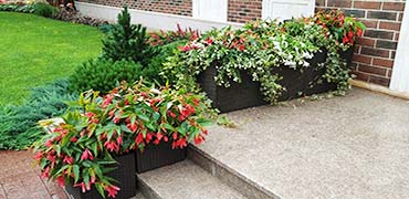 Flower beds from annual plants